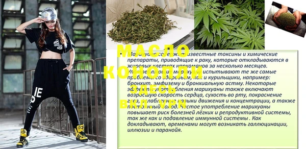 крисы Ельня