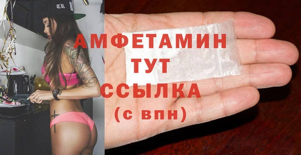 крисы Ельня