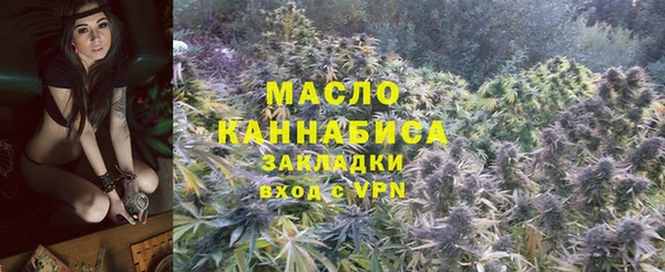 крисы Ельня