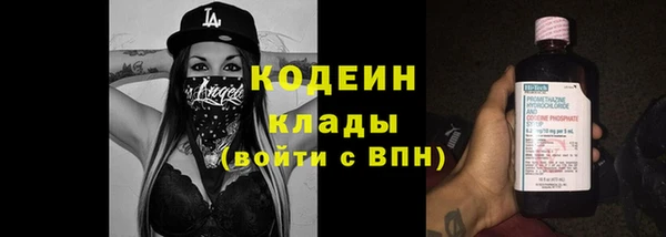 крисы Ельня