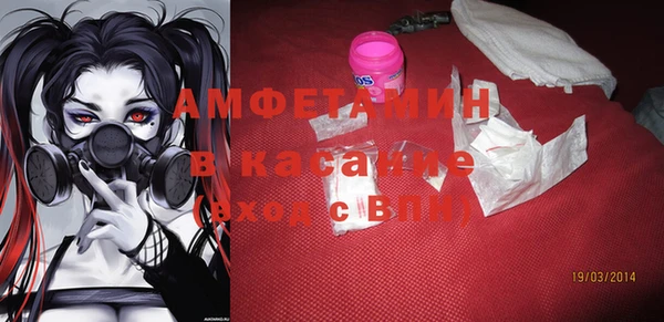 крисы Ельня