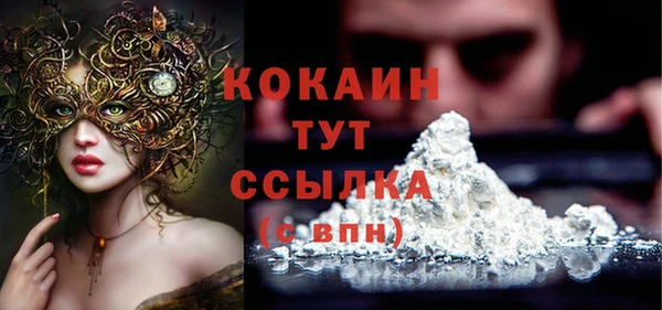 крисы Ельня