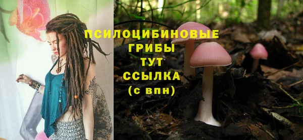 твердый Тында