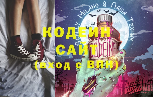 крисы Ельня