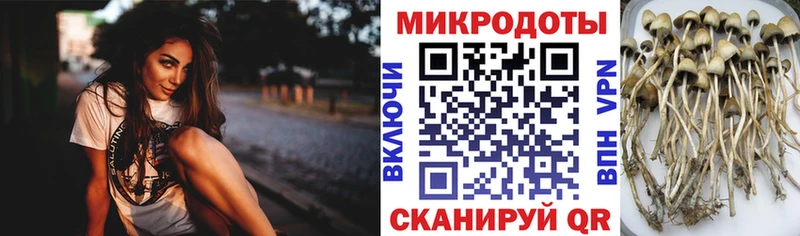Галлюциногенные грибы прущие грибы хочу Спасск-Дальний