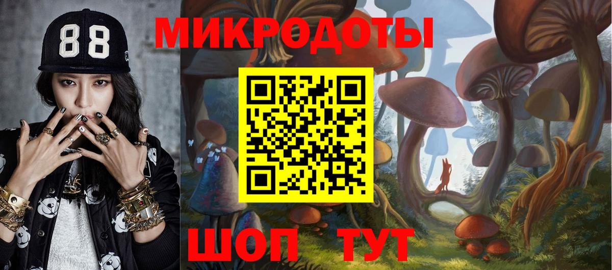 Псилоцибиновые грибы мицелий  Вход с VPN  Спасск-Дальний 